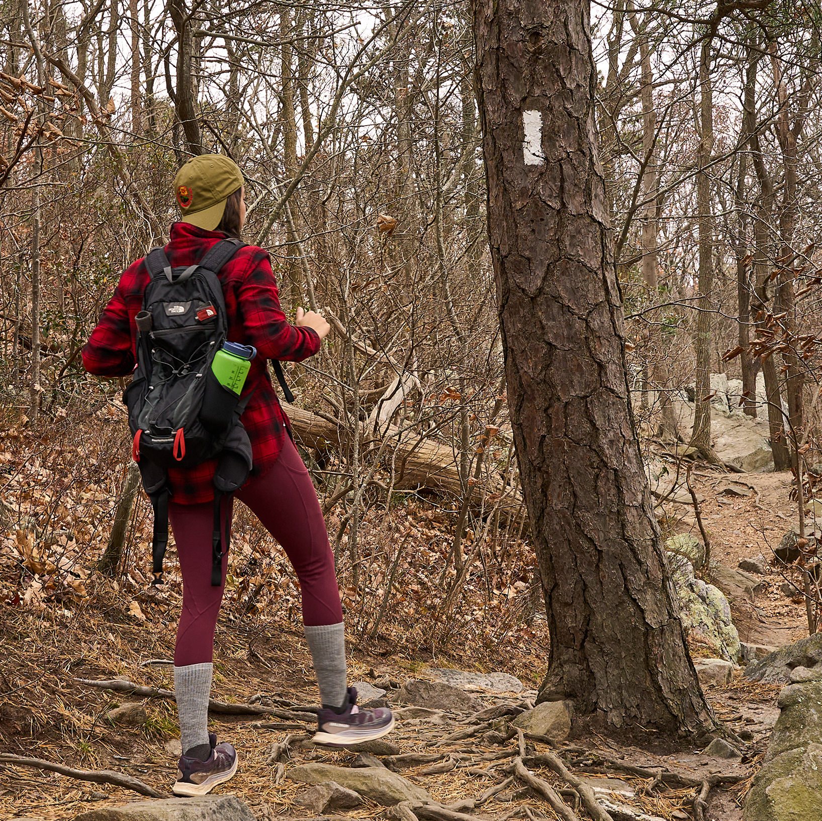 Person hiking in a forest with a backpack, wearing a red jacket and purple pants.